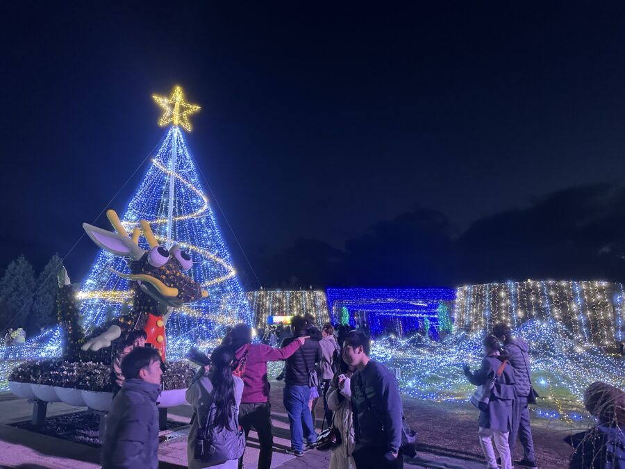 国立讃岐まんのう公園のウィンターファンタジー体験！冬の夜空に広がる幻想的な光の世界へ！