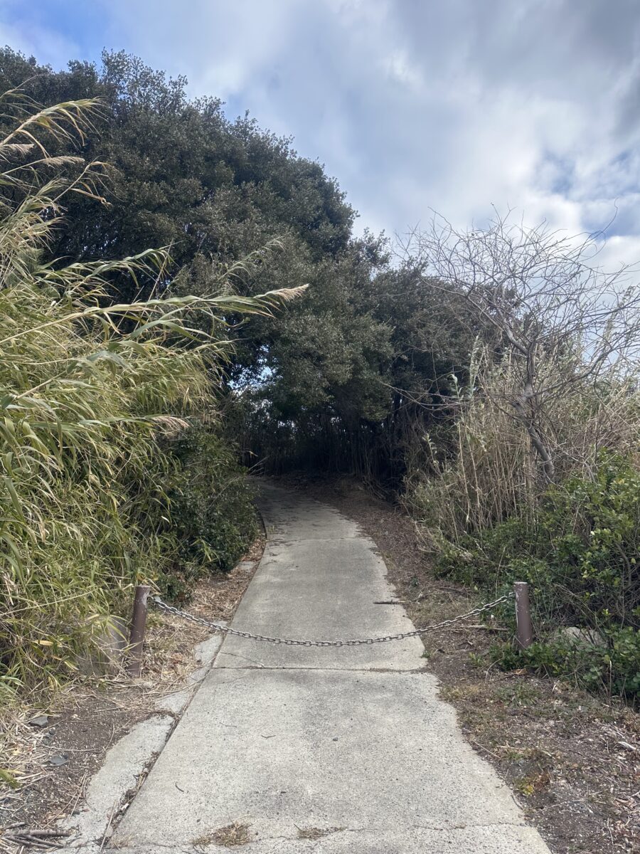 登山口はこんな感じ。車輪止めがあり車は入れません。