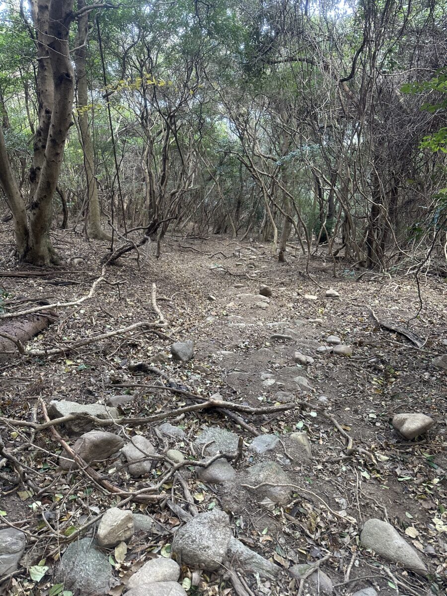 関の浦までは、岩と小枝がびっしりの過酷な道。