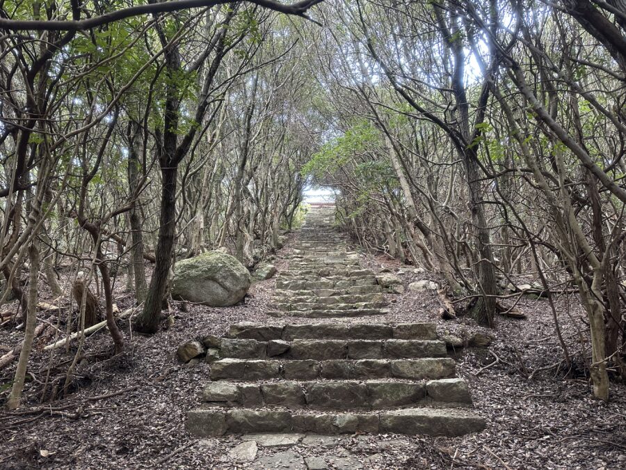 石段、まだあるんかい（笑）